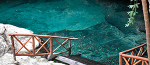 Cenotes casa tortuga