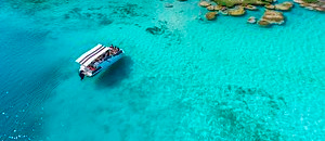 Luna de miel en Hotel flamingo