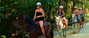 Tours a Tulum Coba Cenotes y playa del Carmen